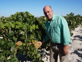 «El futuro del Vino de Jerez me parece esperanzador». Entrevistamos a Luis Flor, Presidente de La Sociedad Jerezana del Vino