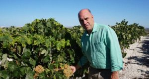 «El futuro del Vino de Jerez me parece esperanzador». Entrevistamos a Luis Flor, Presidente de La Sociedad Jerezana del Vino «El futuro del Vino de Jerez me parece esperanzador». Entrevistamos a Luis Flor, Presidente de La Sociedad Jerezana del Vino