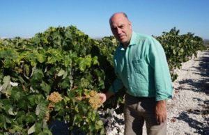 «El futuro del Vino de Jerez me parece esperanzador». Entrevistamos a Luis Flor, Presidente de La Sociedad Jerezana del Vino «El futuro del Vino de Jerez me parece esperanzador». Entrevistamos a Luis Flor, Presidente de La Sociedad Jerezana del Vino