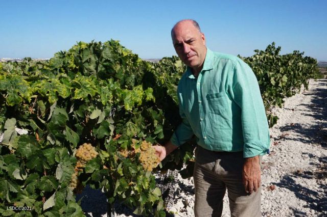 «El futuro del Vino de Jerez me parece esperanzador». Entrevistamos a Luis Flor, Presidente de La Sociedad Jerezana del Vino