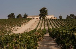 Historia de la Viña El Caribe de Bodegas Diez Mérito Historia de la Viña El Caribe de Bodegas Diez Mérito