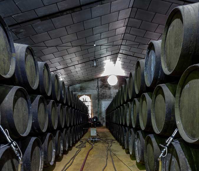 Trabajos de vendimia en la Cooperativa Vitivinícola Jerezana Nuestra Señora de Las Angustias