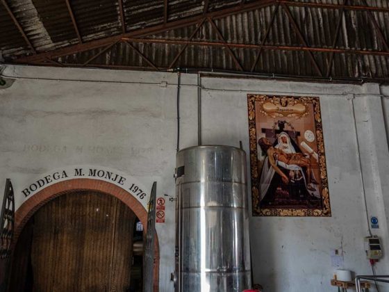 Trabajos de vendimia en la Cooperativa Vitivinícola Jerezana Nuestra Señora de Las Angustias