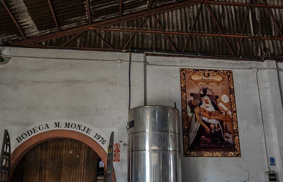 Trabajos de vendimia en la Cooperativa Vitivinícola Jerezana Nuestra Señora de Las Angustias