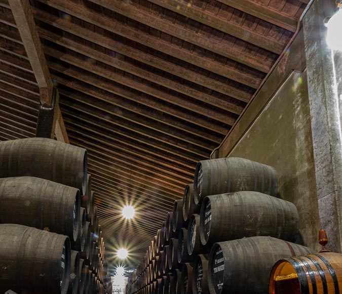 Bodegas Real Tesoro, Grupo Estévez. Jerez.