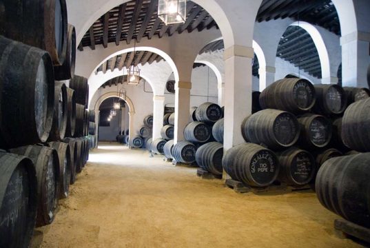 Bodegas Tío Pepe, entre los mejores destinos enoturísticos del mundo Bodegas Tío Pepe, entre los mejores destinos enoturísticos del mundo