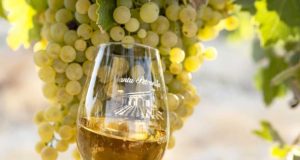 Viña y Bodega Santa Petronila Viña y Bodega Santa Petronila