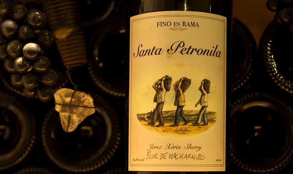 Viña y Bodega Santa Petronila