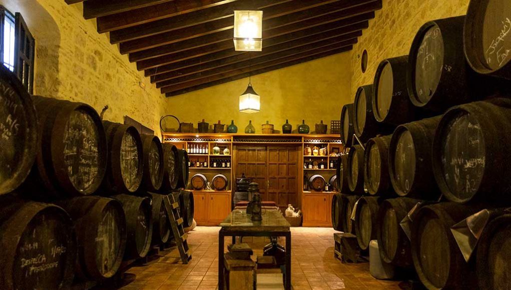 Viña y Bodega Santa Petronila