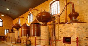 Lepanto organiza su Primera Cata Mundial De Brandy de Jerez vía streaming Lepanto organiza su Primera Cata Mundial De Brandy de Jerez vía streaming