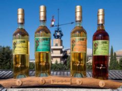 Colección tío pepe finos palmas 2021: La selección del resurgimiento Colección tío pepe finos palmas 2021: La selección del resurgimiento