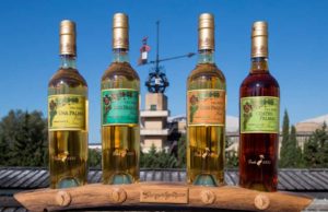 Colección tío pepe finos palmas 2021: La selección del resurgimiento Colección tío pepe finos palmas 2021: La selección del resurgimiento