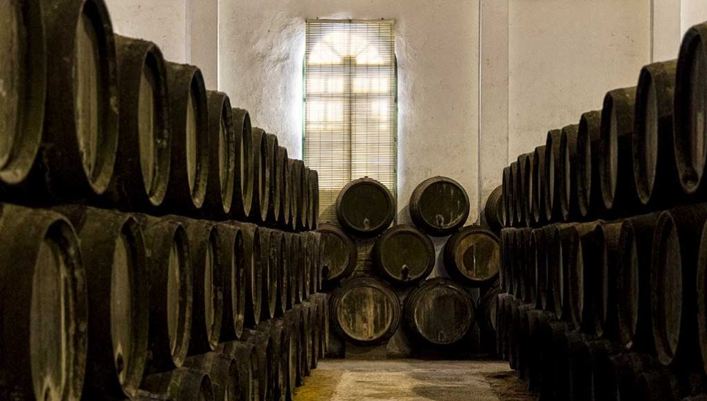 Bodegas Elías González por Paco Barroso