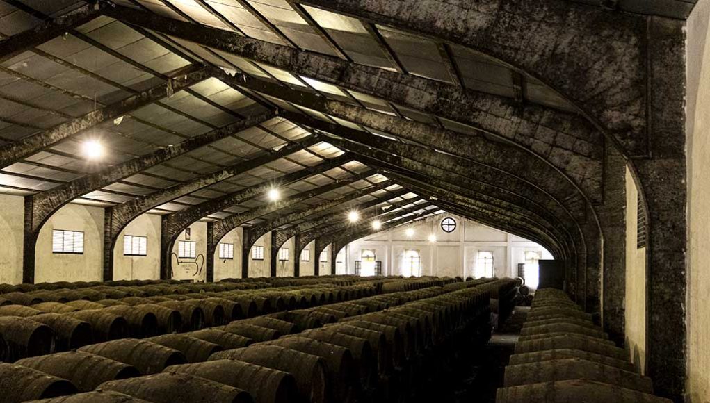 Bodegas Elías González por Paco Barroso