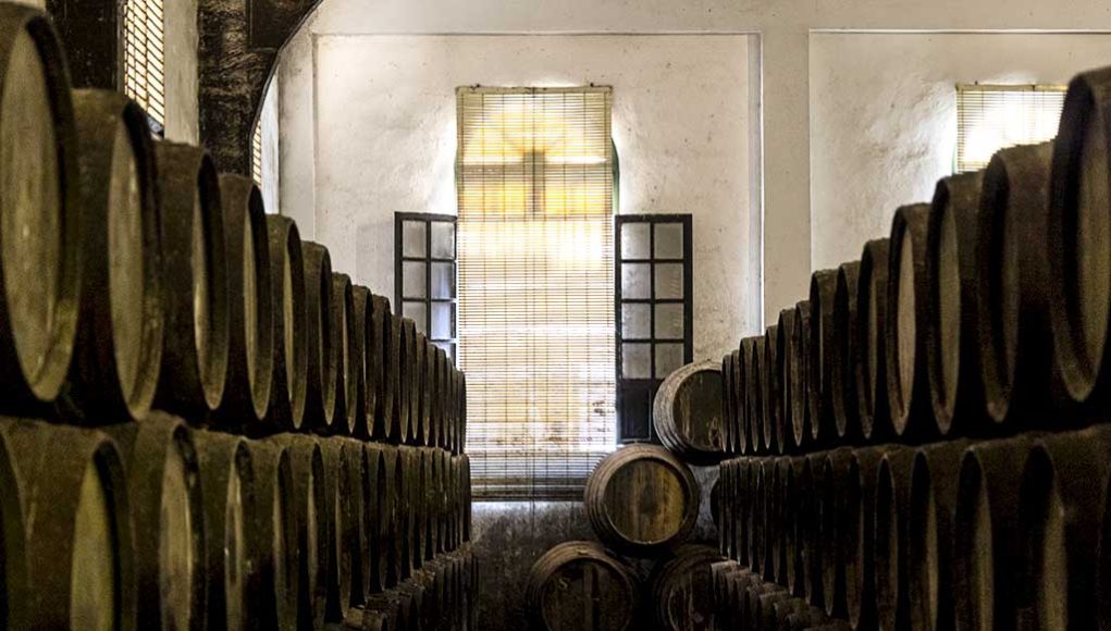 Bodegas Elías González por Paco Barroso