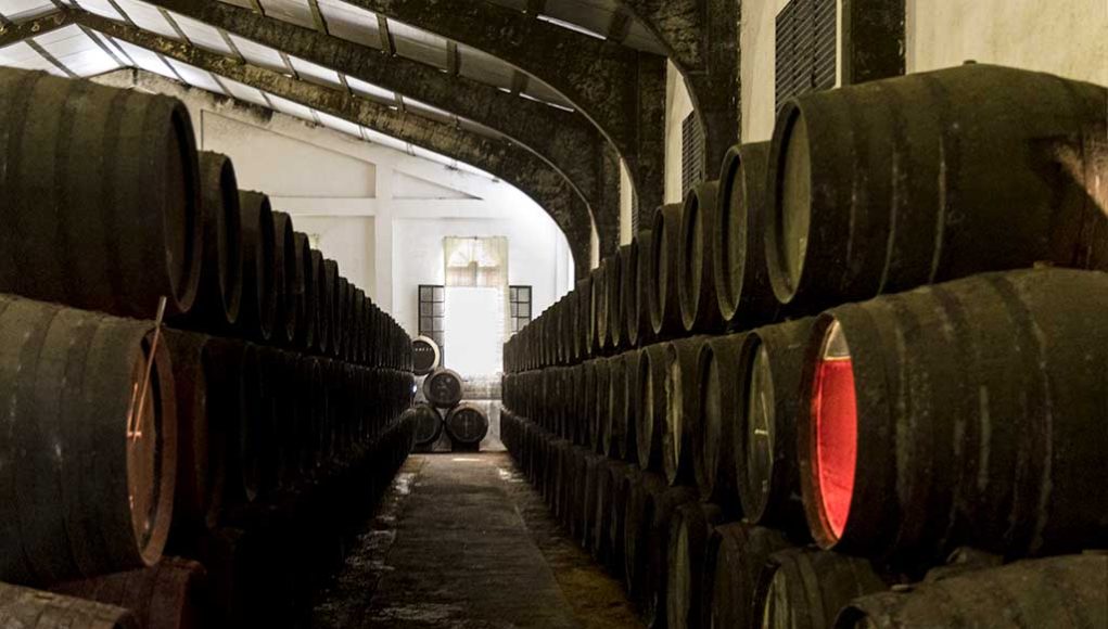 Bodegas Elías González por Paco Barroso