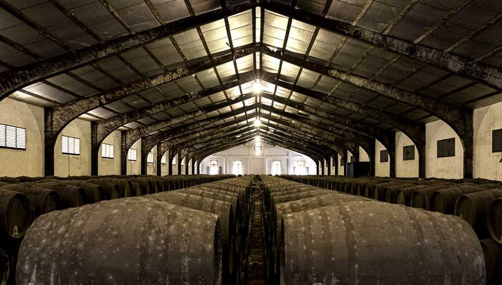 Bodegas Elías González por Paco Barroso