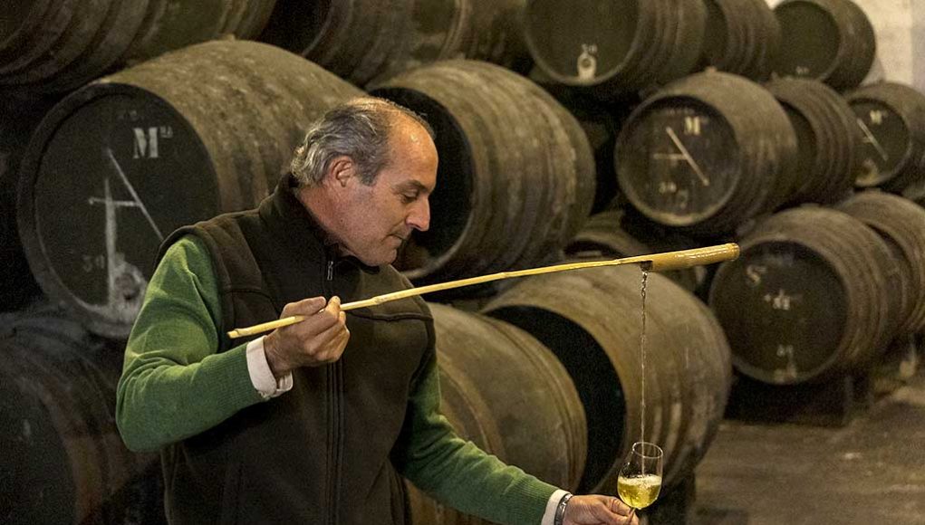 Bodegas Elías González por Paco Barroso