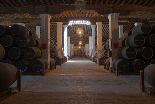 González Byass Jerez reduce en una década el 60% de sus emisiones directas de CO2 González Byass Jerez reduce en una década el 60% de sus emisiones directas de CO2