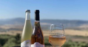 El corazón de la Sierra de Cádiz esconde la bodega de vinos ancestrales más grande de España El corazón de la Sierra de Cádiz esconde la bodega de vinos ancestrales más grande de España