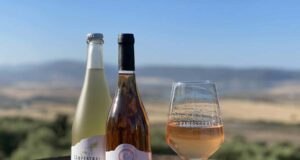 Un año de vino gratis solo apto para instagramers Un año de vino gratis solo apto para instagramers