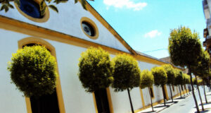 El aroma del Jerez Calle Lealas, Jerez