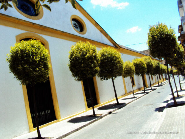 Calle Lealas, Jerez