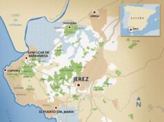 Novedades en la Denominación de Origen Novedades en la Denominación de Origen