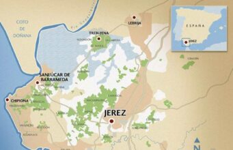 Novedades en la Denominación de Origen Novedades en la Denominación de Origen