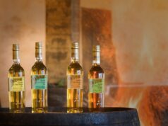 Colección Tío Pepe Finos Palmas 2022: La selección de la resiliencia Colección Tío Pepe Finos Palmas 2022: La selección de la resiliencia