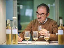Enrique Montero director técnico de Viñas de Williams & Humbert