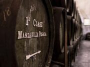 Bodegas Callejuela, el trabajo en la viña como clave de su éxito Bodegas Callejuela