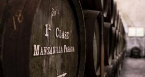Bodegas Callejuela, el trabajo en la viña como clave de su éxito Bodegas Callejuela