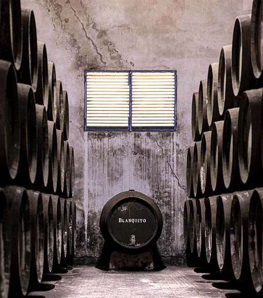 Bodegas Callejuela