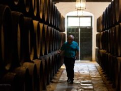 González Byass y Viña el Vínculo, I Premio de Mostos del Marco de Jerez Rafael Arnedo en la Constancia de González Byass