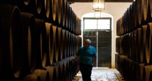 González Byass y Viña el Vínculo, I Premio de Mostos del Marco de Jerez Rafael Arnedo en la Constancia de González Byass