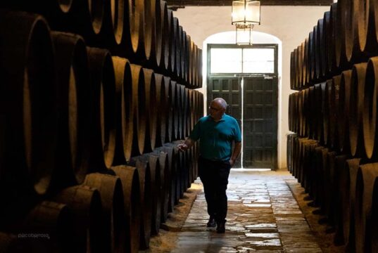 González Byass y Viña el Vínculo, I Premio de Mostos del Marco de Jerez Rafael Arnedo en la Constancia de González Byass