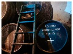 Amontillado C11, Balbaína Alta y la Intensidad de Sanlúcar Bodegas Barrero