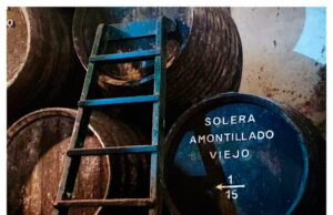 Amontillado C11, Balbaína Alta y la Intensidad de Sanlúcar Bodegas Barrero
