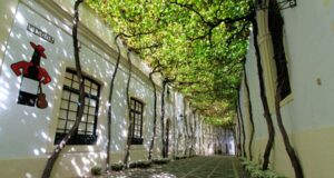 Veranea en Bodegas Tío Pepe veranea en la bodega