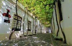 Veranea en Bodegas Tío Pepe veranea en la bodega