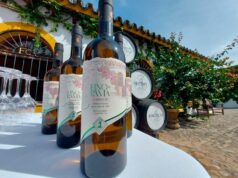 Fernando de Castilla presenta la saca de primavera de su renovado Fino en Rama Fino en Rama