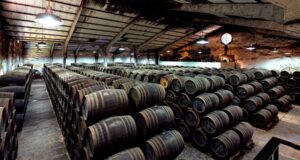 Delgado Zuleta refuerza su plan estratégico con una ampliación de capital Delgado Zuleta refuerza su plan estratégico con una ampliación de capital