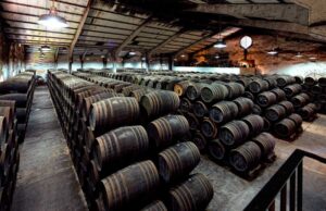 Delgado Zuleta refuerza su plan estratégico con una ampliación de capital Delgado Zuleta refuerza su plan estratégico con una ampliación de capital