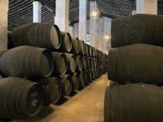 Comienzan las obras en Cayetano del Pino Comienzan las obras en Cayetano del Pino