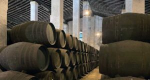 Comienzan las obras en Cayetano del Pino Comienzan las obras en Cayetano del Pino