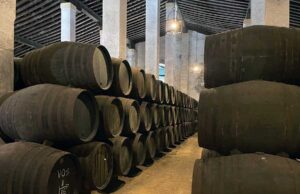 Comienzan las obras en Cayetano del Pino Comienzan las obras en Cayetano del Pino