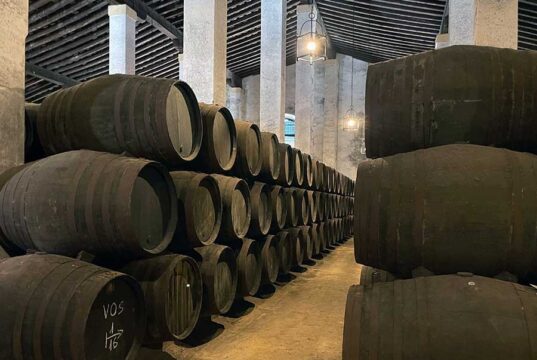 Comienzan las obras en Cayetano del Pino Comienzan las obras en Cayetano del Pino