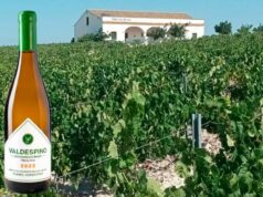 Valdespino Lanza su Primer vino ecológico ampliando su colección de Vinos Tranquilos Vino de Pasto