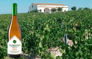 Valdespino Lanza su Primer vino ecológico ampliando su colección de Vinos Tranquilos Vino de Pasto